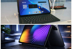 Kerja Lancar, Hiburan Maksimal! Oppo Pad 5 Pro Jadi Tablet Andalan Multifungsi di 2026