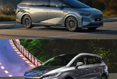 Pasar MPV Listrik 2026 Memanas! Ini Deretan Merek Rival yang Siap Jegal Dominasi BYD M6