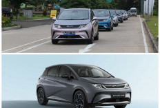 Meluncur di Tanah Air, BYD Dolphin 2026 Tawarkan Desain Modern dan Harga Terjangkau untuk Segmen EV