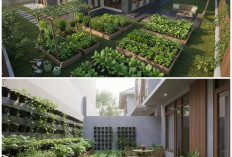Ide Kebun Sayur Mini di Halaman Rumah Kini Jadi Ruang Hijau Produktif yang Estetik