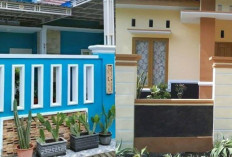 Pilihan Warna Cat Pagar Cerah yang Unik dan Estetik untuk Rumah Modern!
