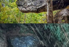 Penampakan Batu Mirip Ular Raksasa Jadi Sorotan, Dijuluki 