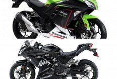 Resmi Meluncur? Ninja 300 Tawarkan Performa Sport dan Teknologi Modern