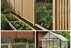 Panen Aman Tanpa Drama! 8 Ide Pagar Kebun Sayur Murah tapi Ampuh Usir Hama!