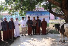 Semarak Iduladha 1447 H, Menteri Nusron Salurkan Hewan Kurban ke Pondok Pesantren Attaqwa!