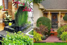 Inspirasi Taman Depan Rumah Minimalis Modern, Cocok untuk Rumah Perkotaan!