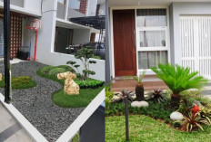 Rumah Murah Tanpa Pagar 2025: Solusi Hunian Cantik di Lahan Sempit!