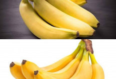 Manfaat Buah Pisang untuk Menjaga Energi dan Kesehatan Pencernaan, Pilihan Buah Sehat untuk Aktivitas Anda!