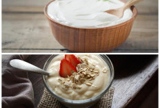 Manfaat Yoghurt Plain untuk Kesehatan: Sederhana Tapi Kaya Nutrisi