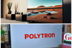 Review TV Polytron Terbaru: Fitur Unggulan, Minusnya, dan Cocok untuk Pengguna Seperti Apa?