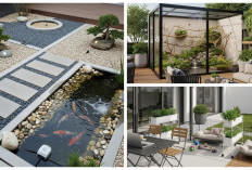 7 Inspirasi Desain Teras Belakang Minimalis dengan Taman Hewan Mini, Bikin Rumah Makin Hidup dan Nyaman