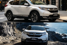 Mengungkap Daya Tarik Honda CR-V, SUV Global yang Menggabungkan Kenyamanan dan Teknologi Modern