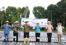 Wako Pagar Alam Dorong Produktivitas Pertanian dan Kendalikan Inflasi