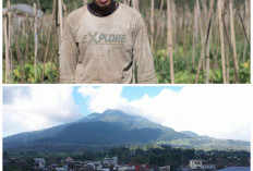 Mengenal Desa BRILian Sumowono, Desa Sayur yang Tumbuh dan Terus Berinovasi Bersama BRI