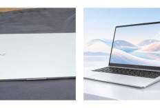 Advan Air Neo vs Asus Vivobook Pro 14, Adu Laptop Tipis dan Layar 90Hz yang Bikin Penasaran!
