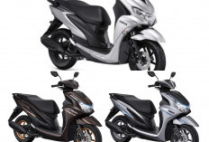Yamaha FreeGo XR 125 2026 Resmi Rilis: Desain Ala Crossover, Bagasi Jumbo, dan Teknologi Start-Stop System!