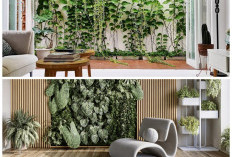 Hunian Terasa Sejuk! Inspirasi Taman Indoor di Dekat Ruang Keluarga
