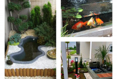 15 Ide Kolam Ikan Mini di Halaman Sempit, Cantik dan Fungsional, Bikin Rumah Terlihat Asri dan Menenangkan