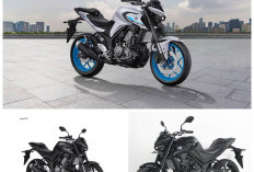 Yamaha MT-25 Euro5+: Naked Sport Langka dengan Sensasi Berkendara Paling Nagih!