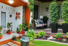 Teras Minimalis Tanpa Pagar, Rumah Terlihat Lebih Modern dan Aesthetic!