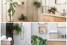 Kamar Mandi Asri Tanpa Repot: 6 Pilihan Tanaman Hias yang Tahan Lembap