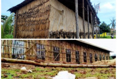 Mengenal Rumah Karapao, Warisan Budaya Masyarakat Pegunungan Papua Tengah yang Sarat Makna!