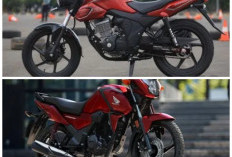 Cari Motor Kuat Harga Terjangkau? Intip Spesifikasi dan Harga Honda Verza 2026