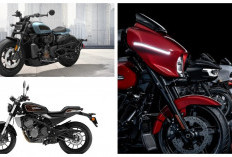 Harley Davidson Kini Lebih Terjangkau: Motor Ikonik dengan Harga Cuma Segini!