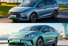 BYD M6 Resmi Hadir, Mengubah Peta Persaingan Mobil Keluarga Listrik di Indonesia!