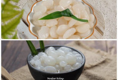 Ragam Manfaat Kolang Kaling: 10 Alasan Buah Ini Sehat Dikonsumsi