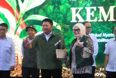 Karhutla Mengintai 1,4 Juta Hektare Lahan Gambut di Sumsel