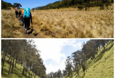 Bukan Sekadar Mitos! Ini Alasan Historis Mengapa Gunung Lawu Selalu Dikaitkan dengan Hal Spiritual