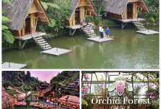 6 Tempat Wisata Lembang Bandung Paling Hits yang Wajib Masuk Daftar Liburan Anda