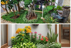 Rumah Minimalis Naik Level! 7 Inspirasi Taman Landscape 2026 untuk Tampilan Lebih Mewah dan Sejuk