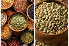 Lentil, Si Kecil yang Penuh Manfaat
