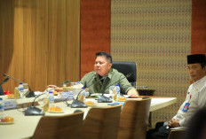 Herman Deru Percepat Lisdes di Sumsel, Bersinergi dengan Kementerian Kehutanan dan PLN
