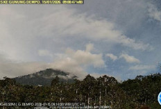 Gunung Dempo Masih Level Waspada: Aktivitas Vulkanik Terekam, Masyarakat Diminta Waspada Radius 1 Km