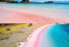 Pink Beach Labuan Bajo: Pesona Pasir Berwarna Merah Muda yang Menawarkan Pengalaman Liburan Tak Terlupakan