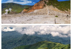 Pilihan Gunung di Jawa Barat untuk Pendaki, dari Pemula hingga Berpengalaman