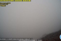 Aktivitas Terbaru Gunung Dempo Pagar Alam: Gempa Low Frekuensi dan Tektonik Jauh Terekam