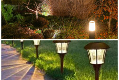 Inspirasi Lampu Taman Tenaga Surya 2026: Bikin Halaman Cantik, Hemat Listrik, dan Ramah Lingkungan