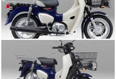 Honda Super Cub 110 Pro Meluncur, Ini Perbedaan Utamanya dari Versi Standar