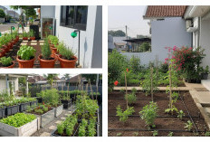 8 Ide Kebun Mini di Rumah dengan Sistem Irigasi Tetes: Praktis, Hemat Air, dan Tetap Hijau!
