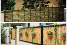 Inspirasi Pagar Bambu Sederhana tapi Kekinian, Murah Meriah Bikin Hunian Desa Makin Instagramable