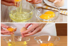 Putih Telur vs Kuning Telur, Bagian Mana yang Paling Baik untuk Kesehatan?