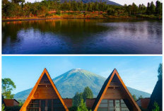 Mata Dimanjakan, Pikiran Tenang: Menjelajahi Spot Wisata Alam Paling Instagramable di Temanggung!