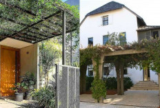 Ide Kebun Rambat Minimalis sebagai Kanopi, Sejuk Tanpa AC Berlebih!