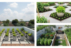 Transformasi Atap Menjadi Oasis Hijau: 9 Ide Kebun Minimalis di Rooftop yang Wajib Dicoba