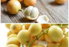 Tak Banyak yang Tahu! Rahasia Manfaat Buah Rambai untuk Menjaga Kesehatan