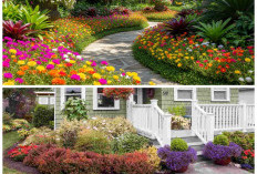 Kebun Bunga Ceria di Halaman Rumah, Inspirasi Segar yang Siap Curi Perhatian Tetangga